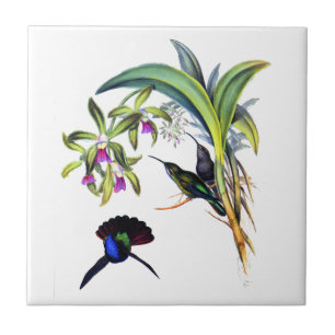 Beautiful Hummingbirds and Purple Orchids Tile