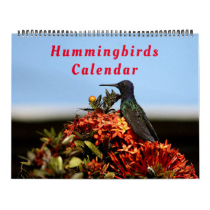 Beautiful Hummingbirds - Pretty Colorful Birds Calendar