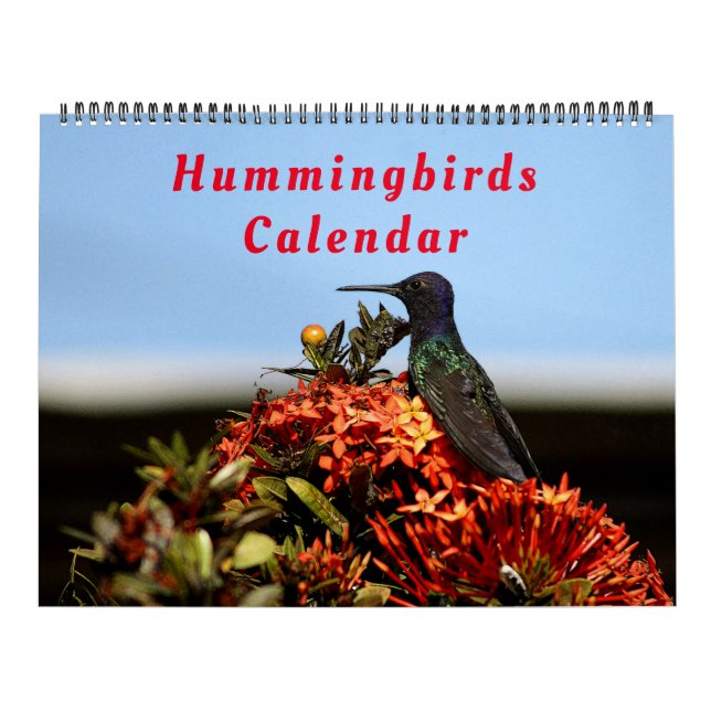 Beautiful Hummingbirds - Pretty Colorful Birds Calendar (Cover)