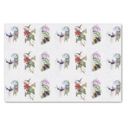 Beautiful Hummingbirds Vintage Art Tissue Paper