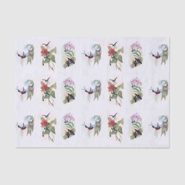 Beautiful Hummingbirds Vintage Art Tissue Paper (Front)