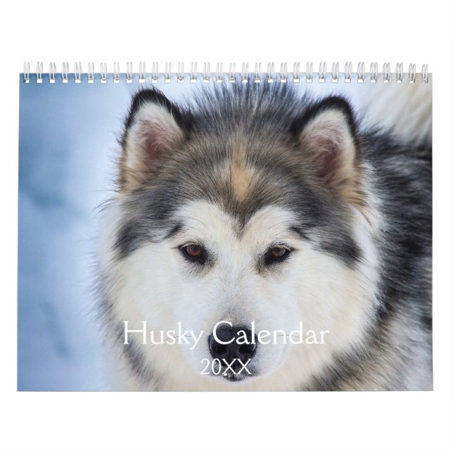 Beautiful Husky Dog  Calendar (Cover)