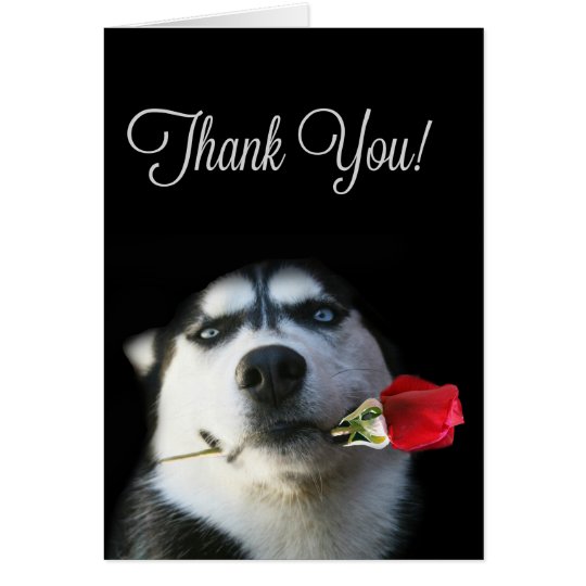 Beautiful Husky Dog Thank You Card | Zazzle.com