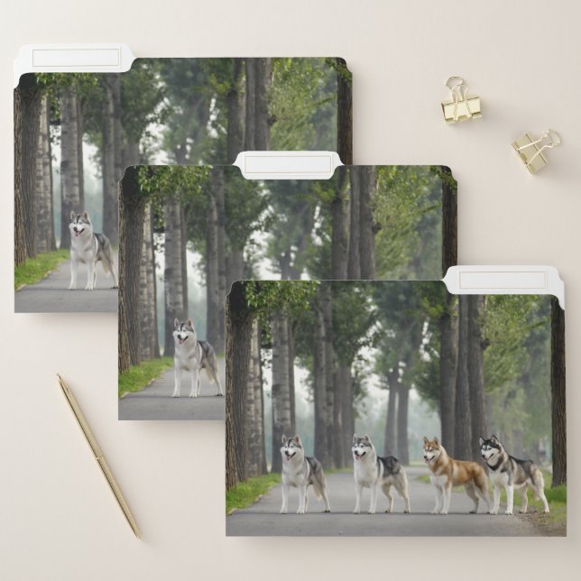 Beautiful Husky Dogs on a Nature Trail File Folder (Set)
