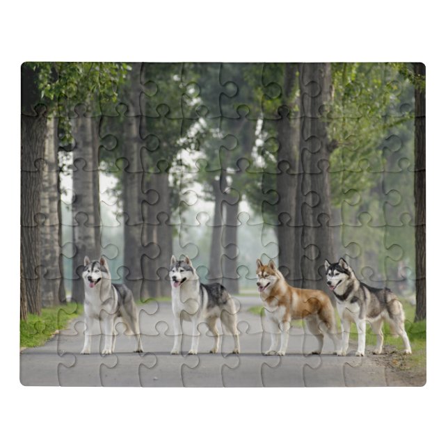 Beautiful Husky Dogs on a Nature Trail Jigsaw Puzzle (Puzzle Horizontal)