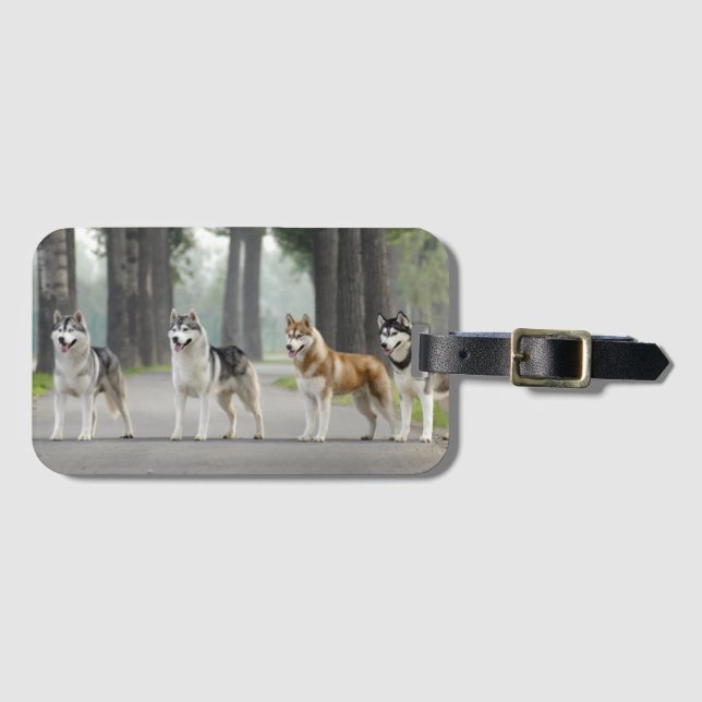 Beautiful Husky Dogs on a Nature Trail Luggage Tag (Front Horizontal)