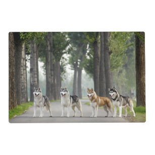 Beautiful Husky Dogs on a Nature Trail Placemat