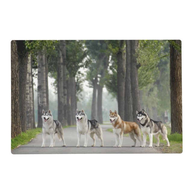 Beautiful Husky Dogs on a Nature Trail Placemat (Front)