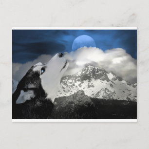 Beautiful Husky Holiday Postcard