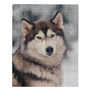 Beautiful Husky in the Outdoors Jigsaw Puzzle