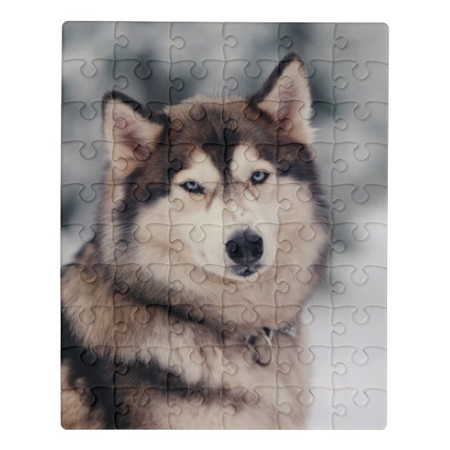 Beautiful Husky in the Outdoors Jigsaw Puzzle (Puzzle Vertical)
