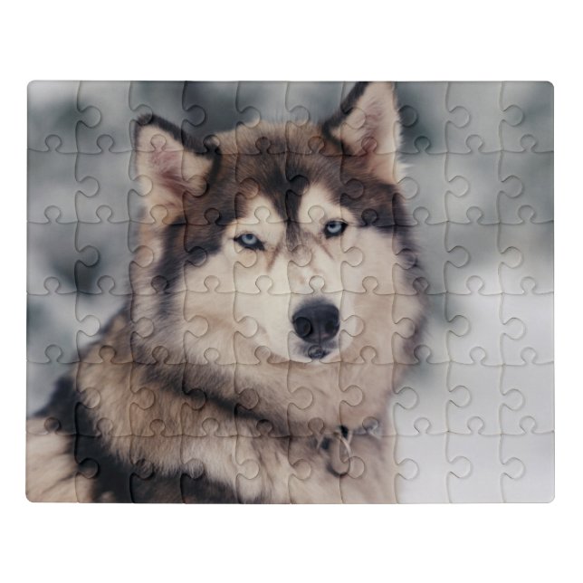 Beautiful Husky in the Outdoors Jigsaw Puzzle (Puzzle Horizontal)