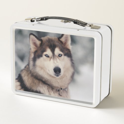 Beautiful Husky in the Outdoors Metal Lunch Box