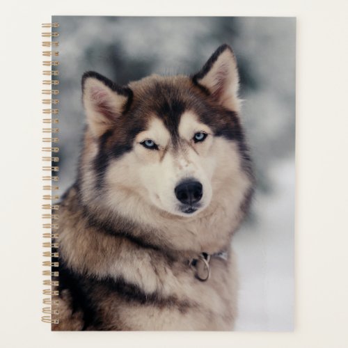 Beautiful Husky in the Outdoors Planner