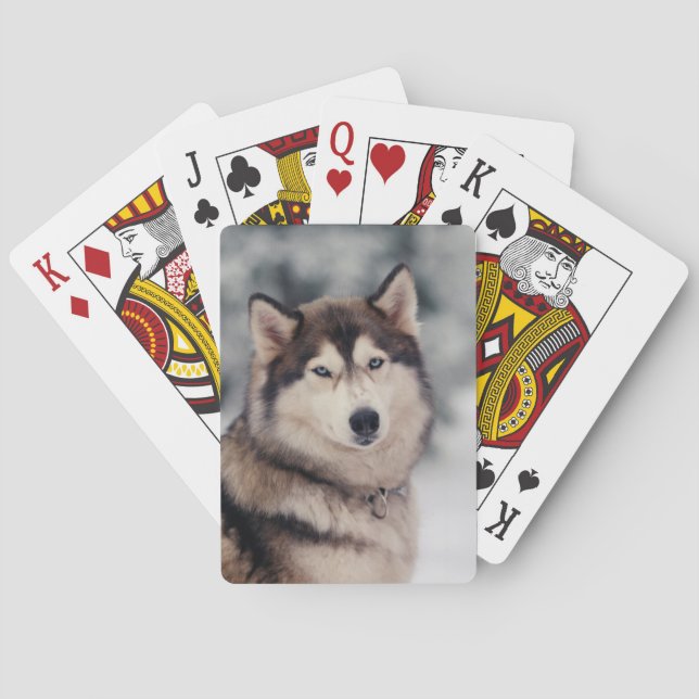 Beautiful Husky in the Outdoors Poker Cards (Back)