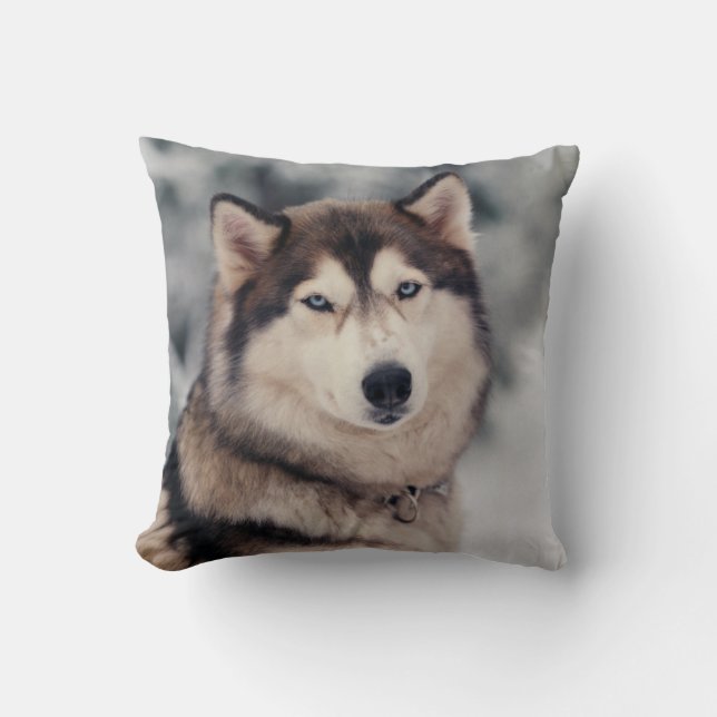 Beautiful Husky in the Outdoors Throw Pillow (Front)