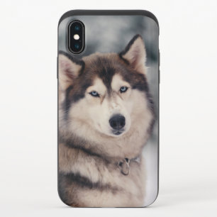 Beautiful Husky in the Outdoors iPhone X Slider Case