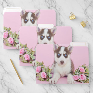 Beautiful Husky Puppy with Pink Roses File Folder