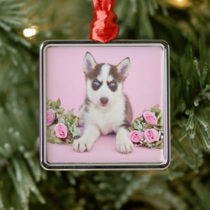 Beautiful Husky Puppy with Pink Roses Metal Ornament