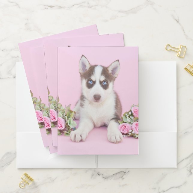 Beautiful Husky Puppy with Pink Roses Pocket Folder (In Situ)
