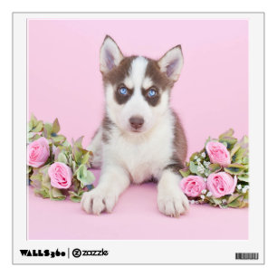 Beautiful Husky Puppy with Pink Roses Wall Decal