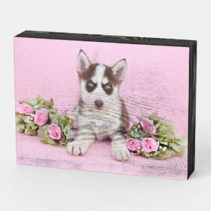 Beautiful Husky Puppy with Pink Roses Wooden Box Sign