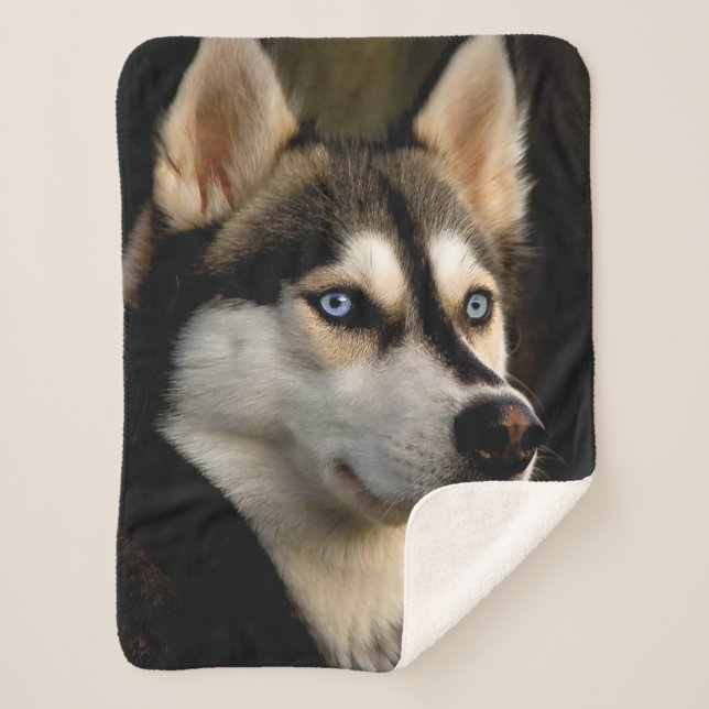 Beautiful Husky Throw Pillow (Front)