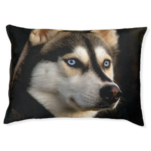Beautiful Husky Throw Pillow