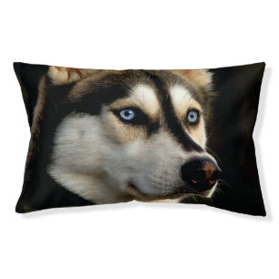 Beautiful Husky Throw Pillow