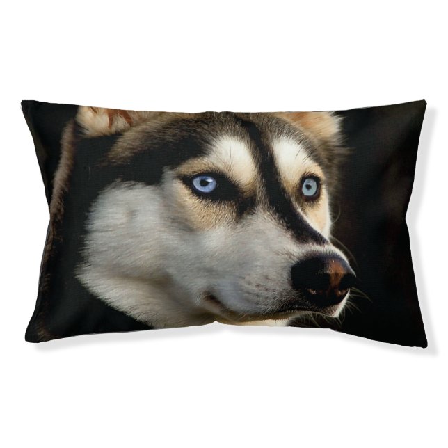 Beautiful Husky Throw Pillow (Front)