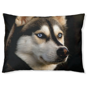 Beautiful Husky Throw Pillow
