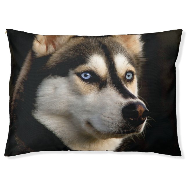 Beautiful Husky Throw Pillow (Front)