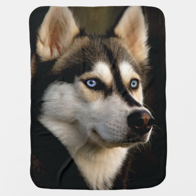 Beautiful Husky Throw Pillow Baby Blanket (Front)