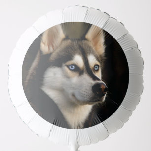 Beautiful Husky Throw Pillow Balloon