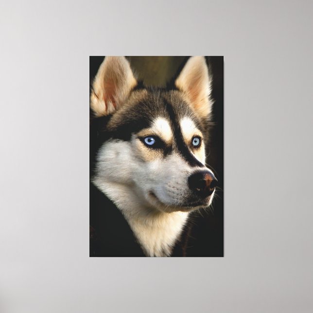 Beautiful Husky Throw Pillow Canvas Print (Front)
