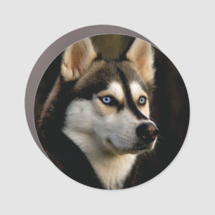 Beautiful Husky Throw Pillow Car Magnet