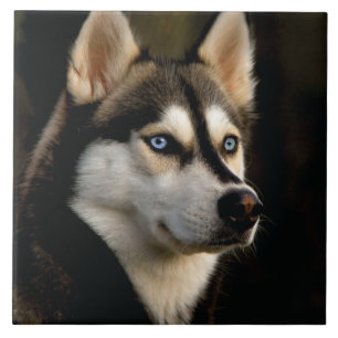 Beautiful Husky Throw Pillow Ceramic Tile