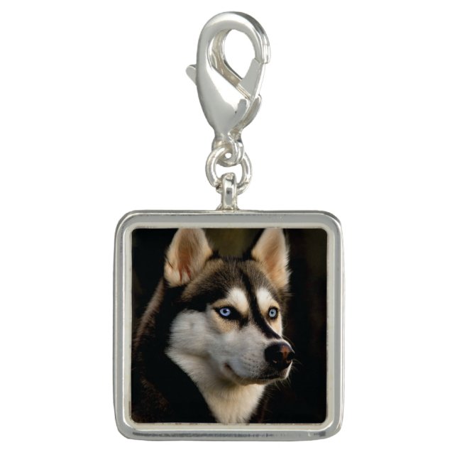 Beautiful Husky Throw Pillow Charm (Front)