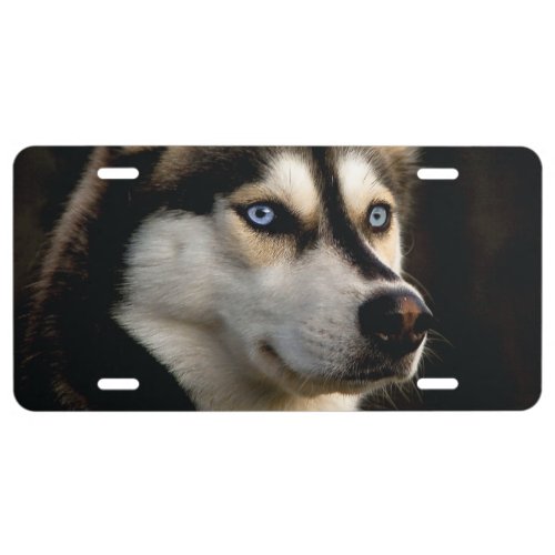 Beautiful Husky Throw Pillow License Plate