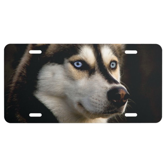 Beautiful Husky Throw Pillow License Plate (Front)