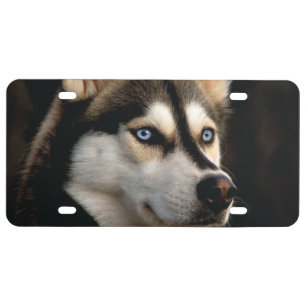 Beautiful Husky Throw Pillow License Plate