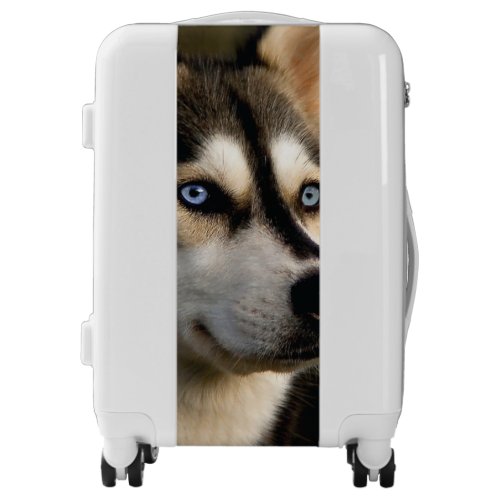 Beautiful Husky Throw Pillow Luggage