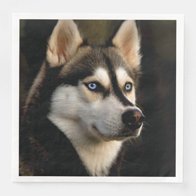 Beautiful Husky Throw Pillow Paper Dinner Napkins (Front)