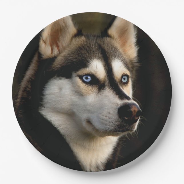 Beautiful Husky Throw Pillow Paper Plates (Front)