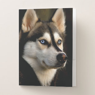Beautiful Husky Throw Pillow Pocket Folder
