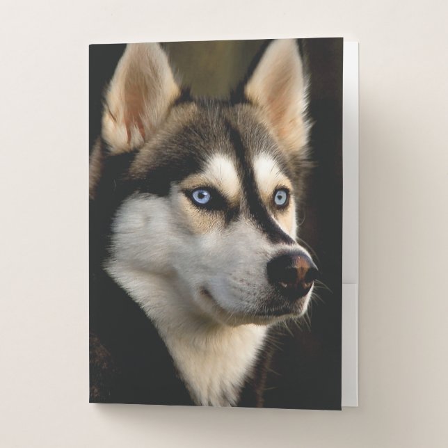 Beautiful Husky Throw Pillow Pocket Folder (Front)