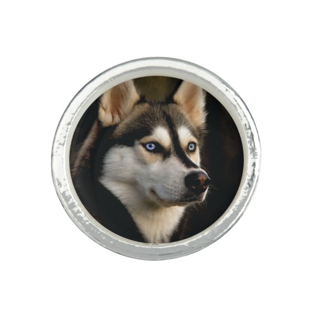 Beautiful Husky Throw Pillow Ring (Front)