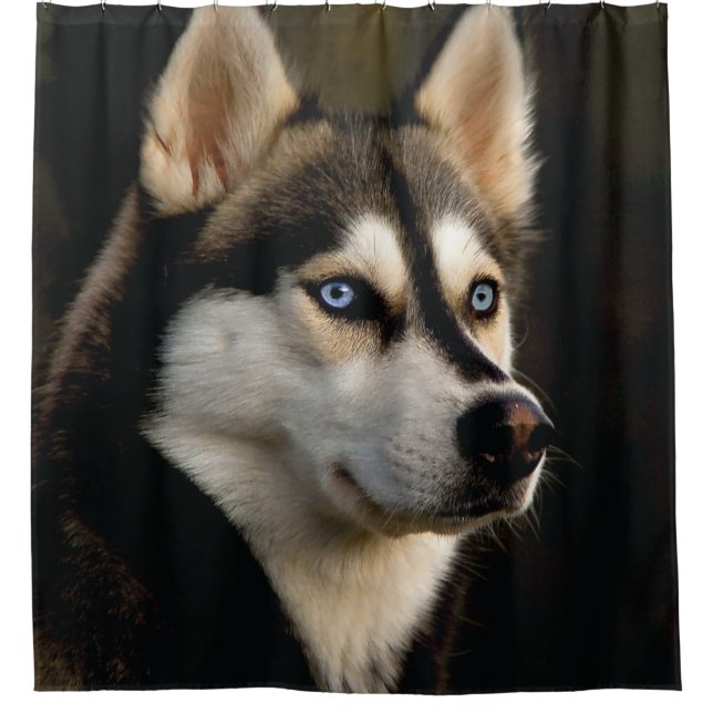 Beautiful Husky Throw Pillow Shower Curtain (Front)