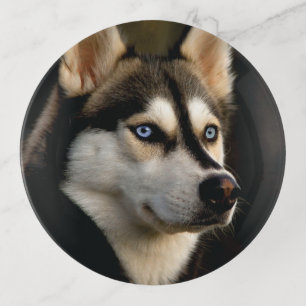 Beautiful Husky Throw Pillow Trinket Tray