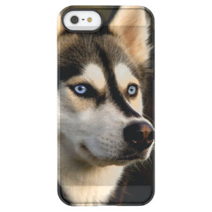 Beautiful Husky Throw Pillow Permafrost iPhone SE/5/5s Case